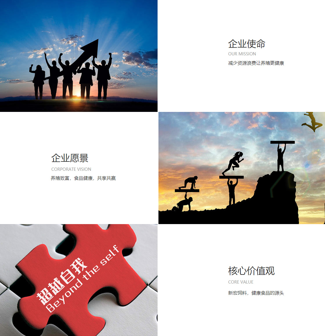 开云网页版(图1)